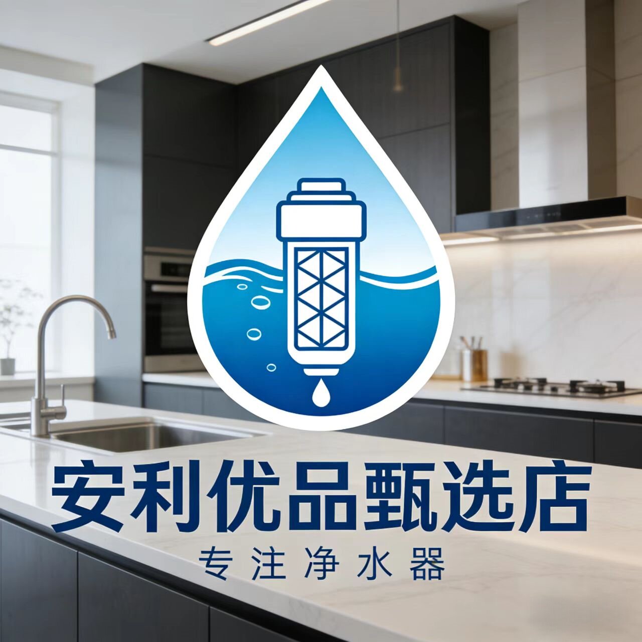 Amway丨安利优品甄选丨官方原装正品安利益之源滤芯丨专用滤芯