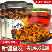 发2罐 新疆和田昆仑雪菊天山昆仑山血菊花茶养生花草茶 昆仑雪菊