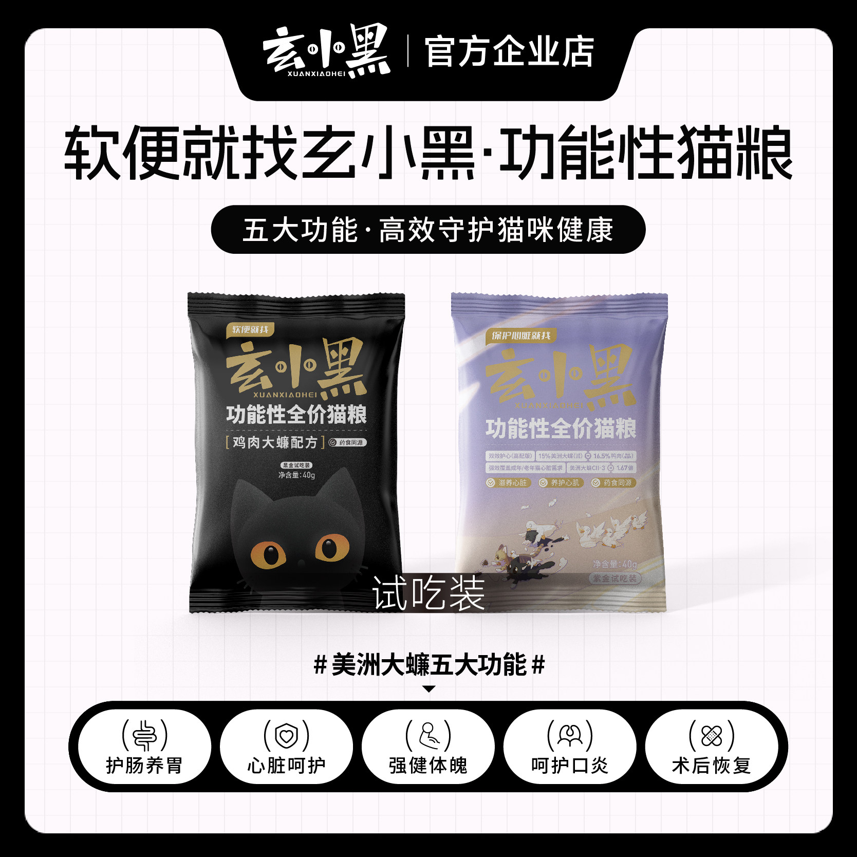 玄小黑美洲大蠊软便缓和心肌心脏