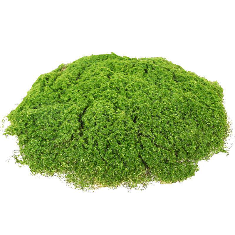 户外仿真草坪青苔假绿植造景植绒皮植物墙装饰人造草仿真苔藓