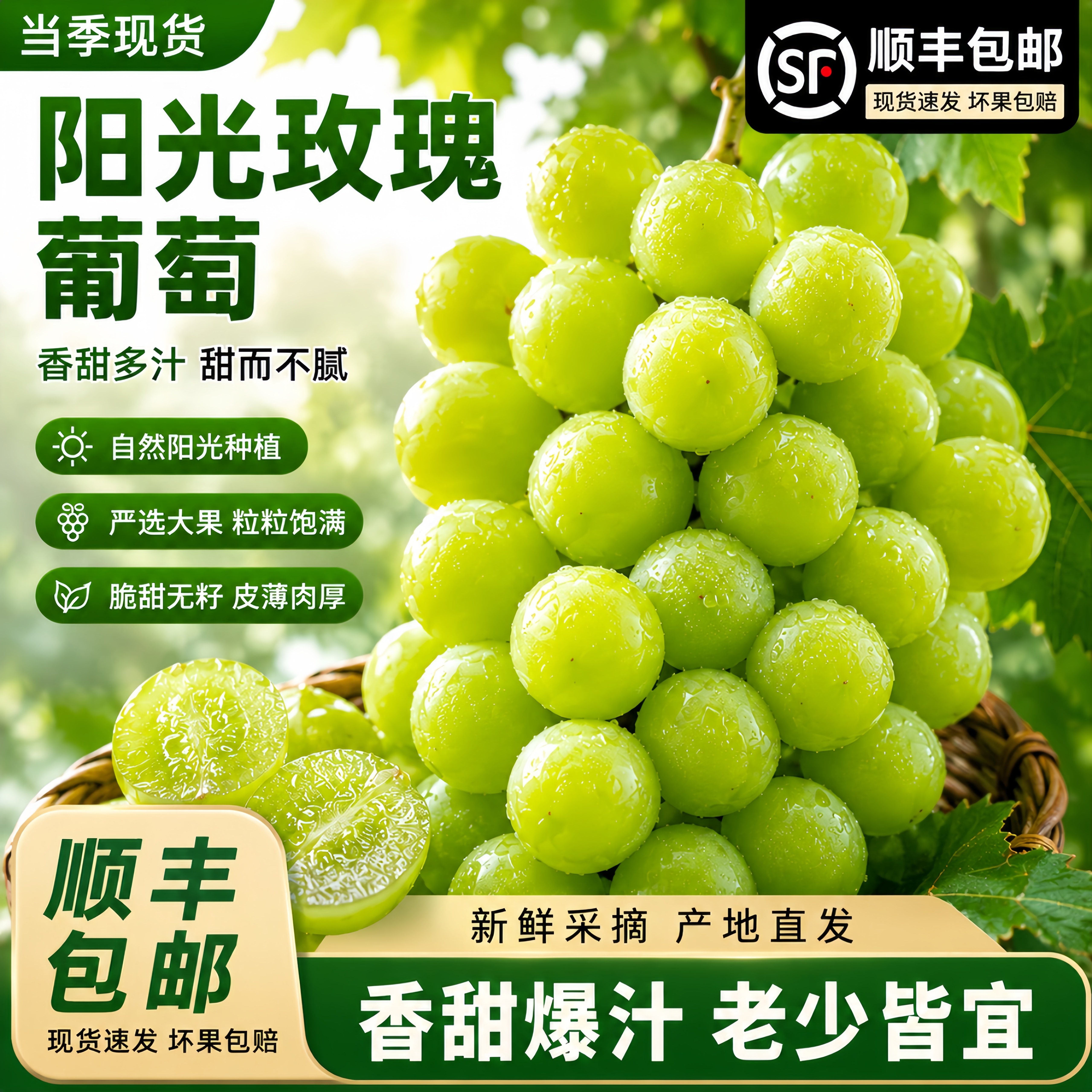 顺丰包邮阳光玫瑰葡萄晴王山东整串无籽青提新鲜现摘水果大串