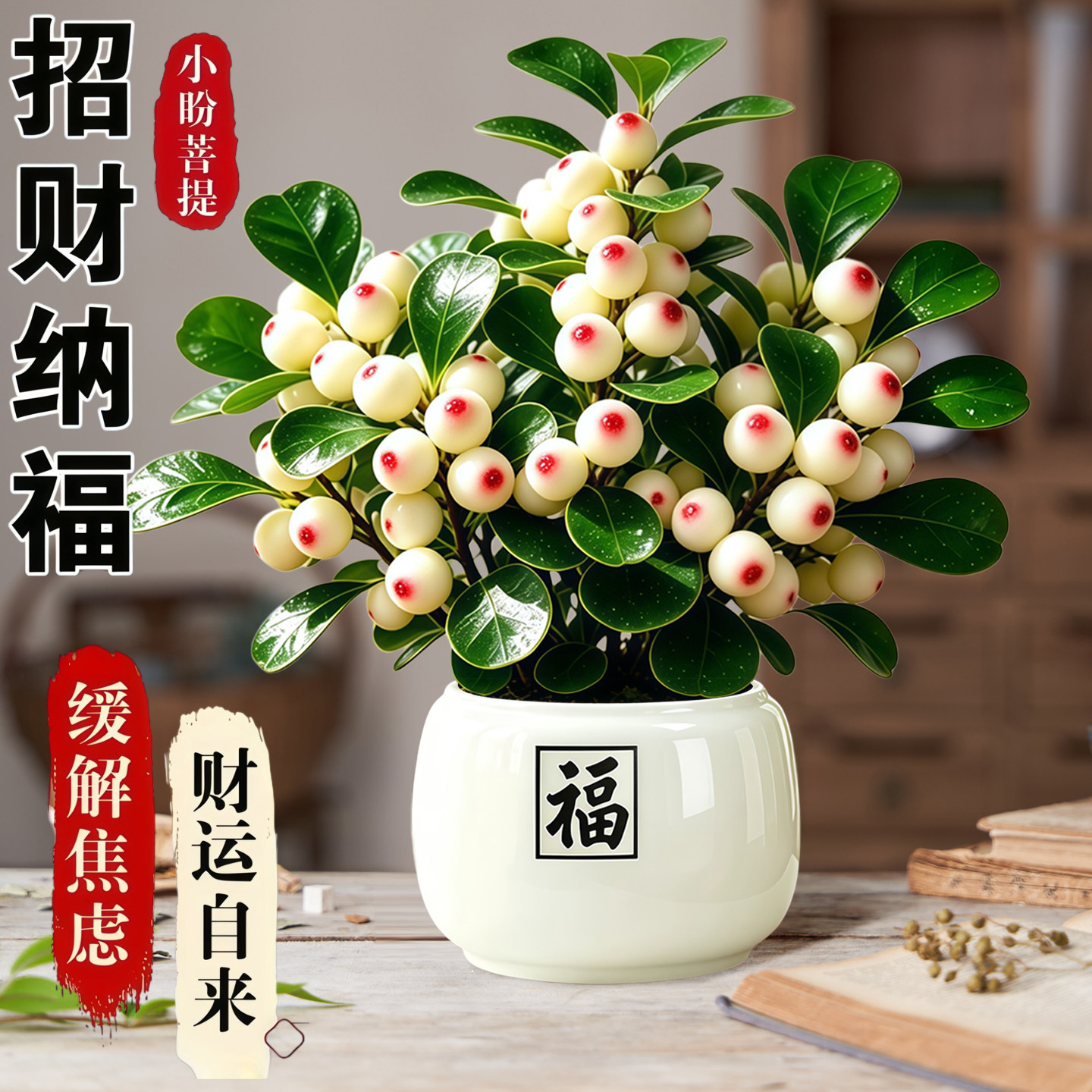 小盼菩提树禅意盆栽带果植物室内桌面盆景办公室绿植四季好养花卉图片