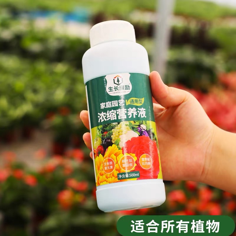 浓缩营养液通用型多肉植物水培兰花蝴蝶兰液体肥生长魔励家用绿植