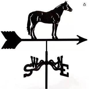 小黑马不锈钢向BM-3116漆风标花园庭剪院影地插喷装饰