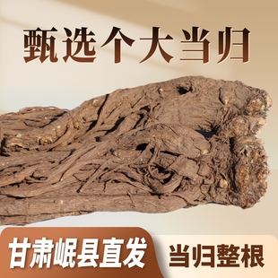 甘肃岷县当归中药材整根500g干货正宗正品 无硫泡茶泡酒煮粥煲汤料