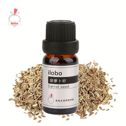 胡萝卜香薰精油加湿器ilobo