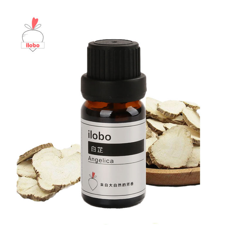 白芷Angelica单方香薰精油加湿器扩香机香薰香氛ilobo