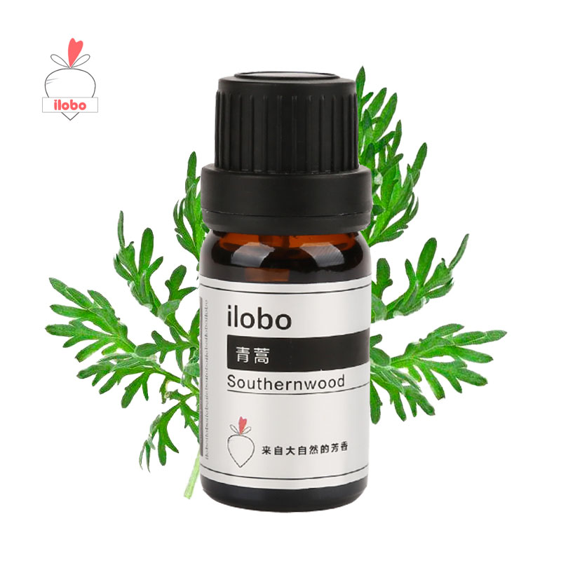 青蒿精油香薰加湿器ilobo