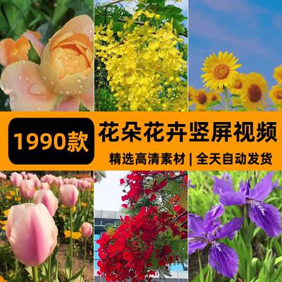 2024鲜花花朵花卉竖屏短视频自然风景高清抖音快手热门自媒体素材