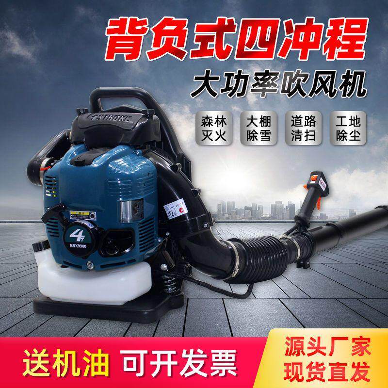 德国四冲程BBX9900-背负