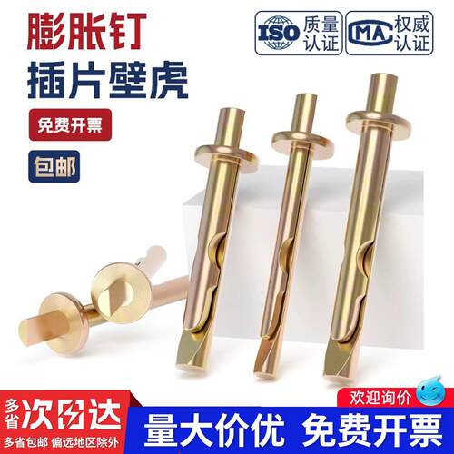 彩锌插片壁虎膨胀螺丝敲