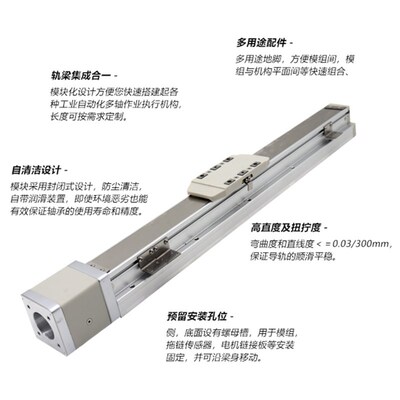 GTH5 8 12可代替TOYO 轨道螺杆内嵌式滑轨 直线滑台线性丝杆模组