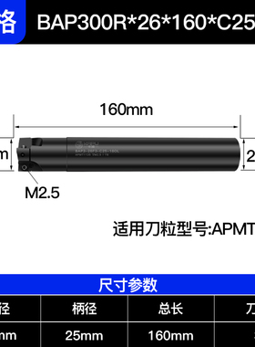 德国卡浦BAP300r数控铣刀杆ASM加工中心1604钨钢1135飞刀杆400R