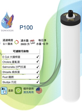 fairey 丹顿 P100 净水器陶瓷滤芯 Ster 全瓷滤芯 除泥沙铁锈细菌