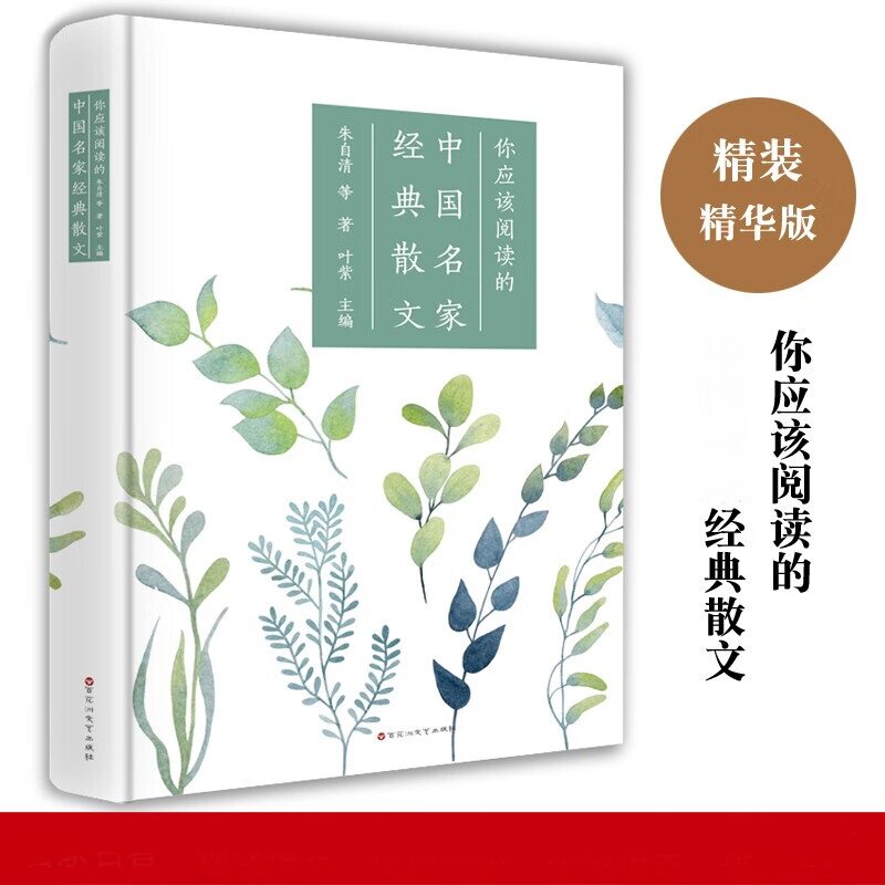 你应该阅读的中国经典散文 现当代文学散文精选正版阅读书籍