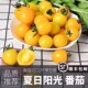 黄色圣女果山东夏日阳光樱桃小番茄新鲜水果孕妇酸甜小西红柿 包邮