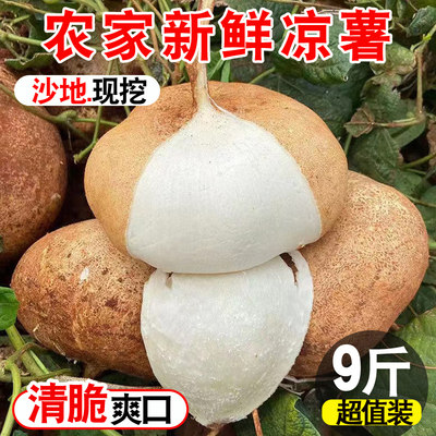 白心地瓜广西蔬菜新鲜现挖