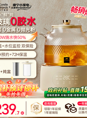 康宁养生壶炖煮一体家用多功能花茶壶全玻璃纯养生烧水壶2025新款