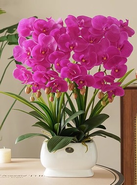 高端轻奢蝴蝶兰仿真花艺高档摆花客厅餐桌摆设花装饰高级假花摆件