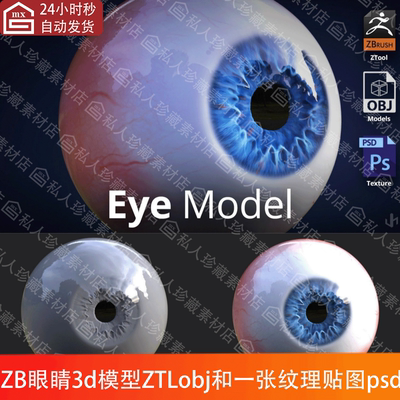 zbrush眼珠眼球雕刻3d模型人眼模型眼珠眼球模型ZTL雕刻zb模型OBJ