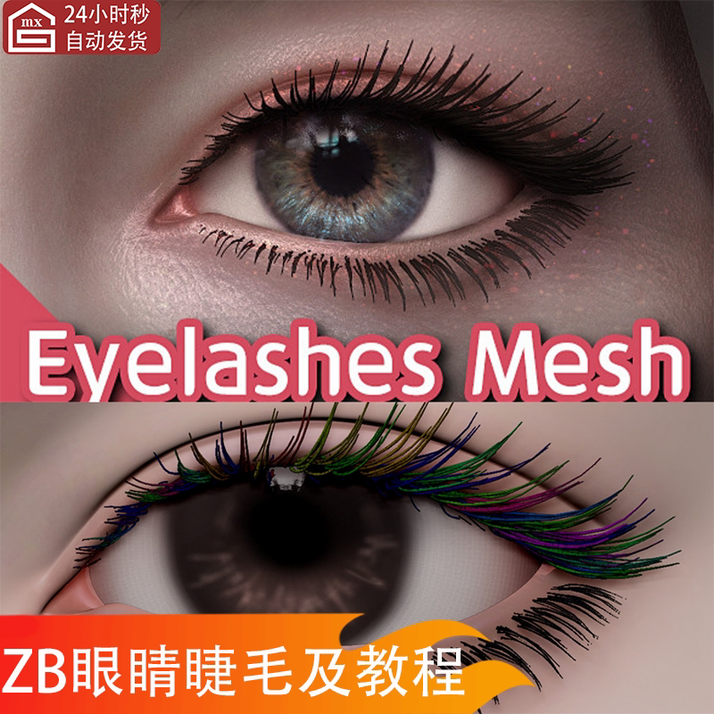 Zbrush人物角色眼睫毛3d模型OBJ格式及英文无声睫毛教程