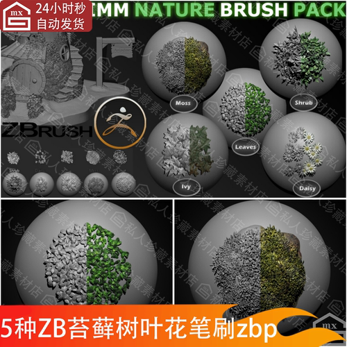 ZBrush常春藤苔藓叶子灌木笔刷zb植物雏菊树叶花卉雕刻笔刷zbp