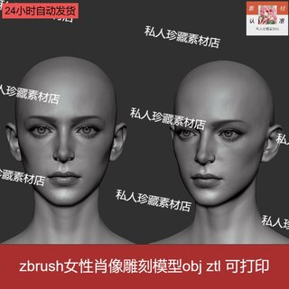 zbrush写实美女头部肖像脸部3D模型zb皮肤五官雕刻雕塑模型可打印