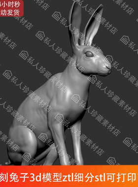zbrush雕刻动物野兔子3d模型stl可打印图纸高精度三维高模ZTL细分