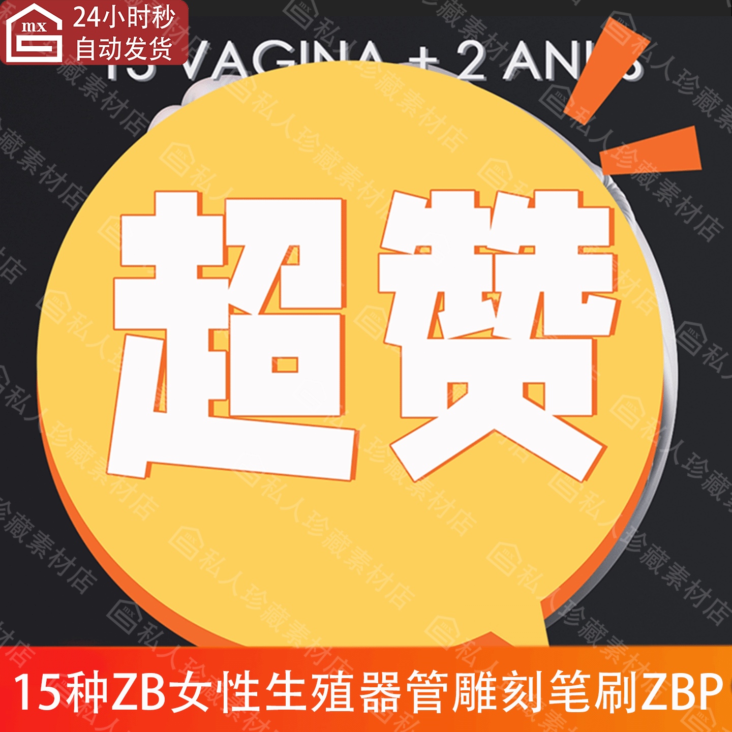 zbrush人类女性肛门器官雕刻笔刷ZBP生殖器官结构解剖学ZB笔刷