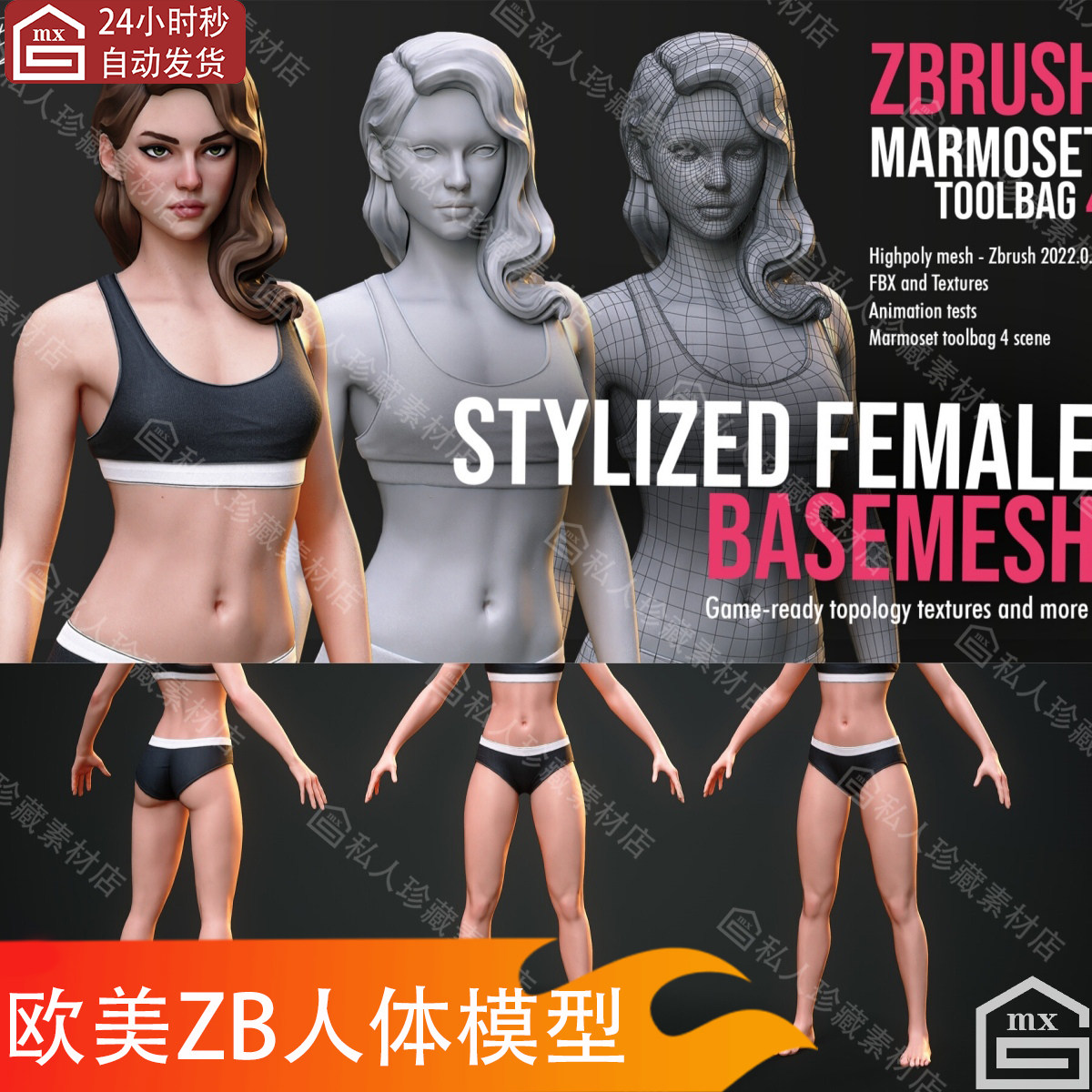 zbrush风格化欧美女性美女卷发人物五官人体角色基础3d模型ztl