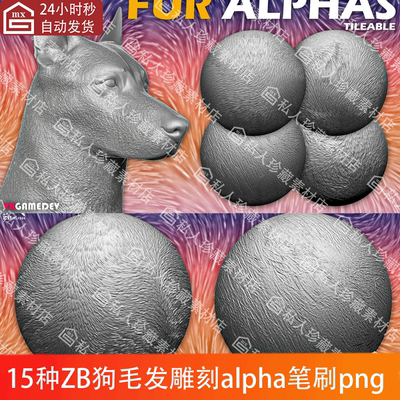 zbrush动物狗毛犬毛皮毛毛发alpha笔刷ZB雕刻笔刷无缝纹理贴图png