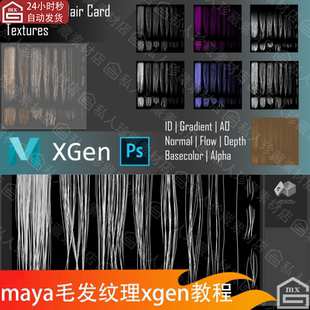 Maya次时代插片毛发头发xgen纹理贴图烘焙arnold渲染英文教程文件