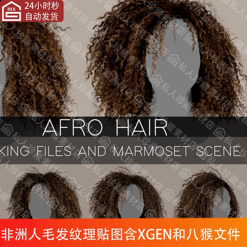 afro非洲女性毛发头发蓬松卷发发型纹理贴图八猴源文件xgen文件