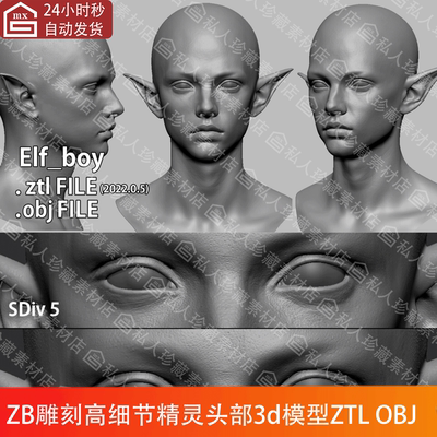 ZBrush雕刻精灵头部头像肖像基础3d模型ztl皮肤纹理光头ZB高模obj