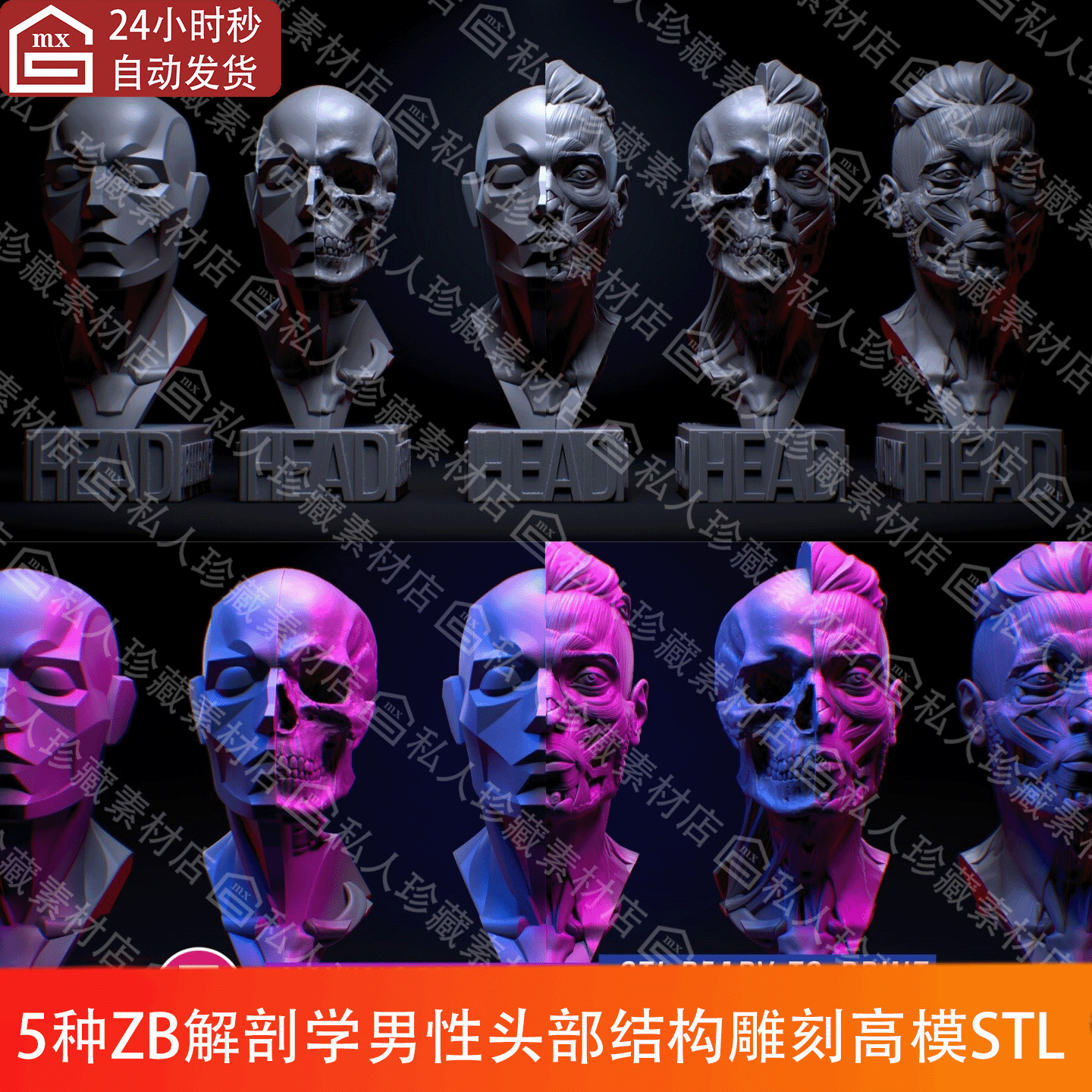 ZBrush男头部头像解剖学脸面部结构肌肉雕刻高模3d模型STL可打印