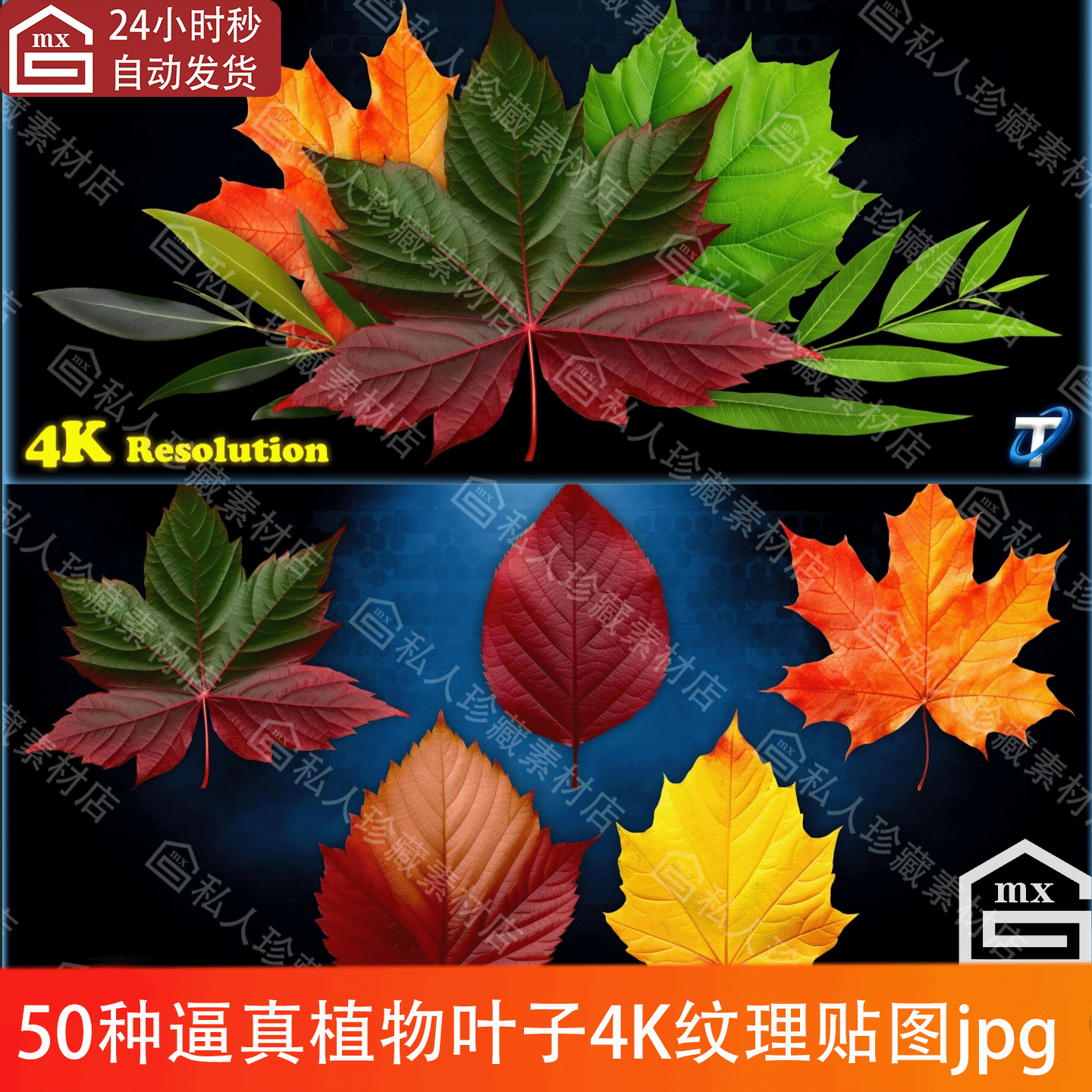 50种逼真植物叶子树叶绿植叶枫树叶桑叶绿叶4k纹理贴图jpg素材PBR
