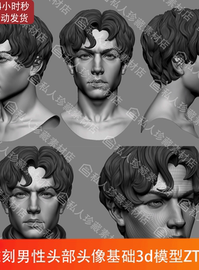 ZBrush雕刻男性中长发型刘海帅哥头部头像基础3d模型ZTL细分高模