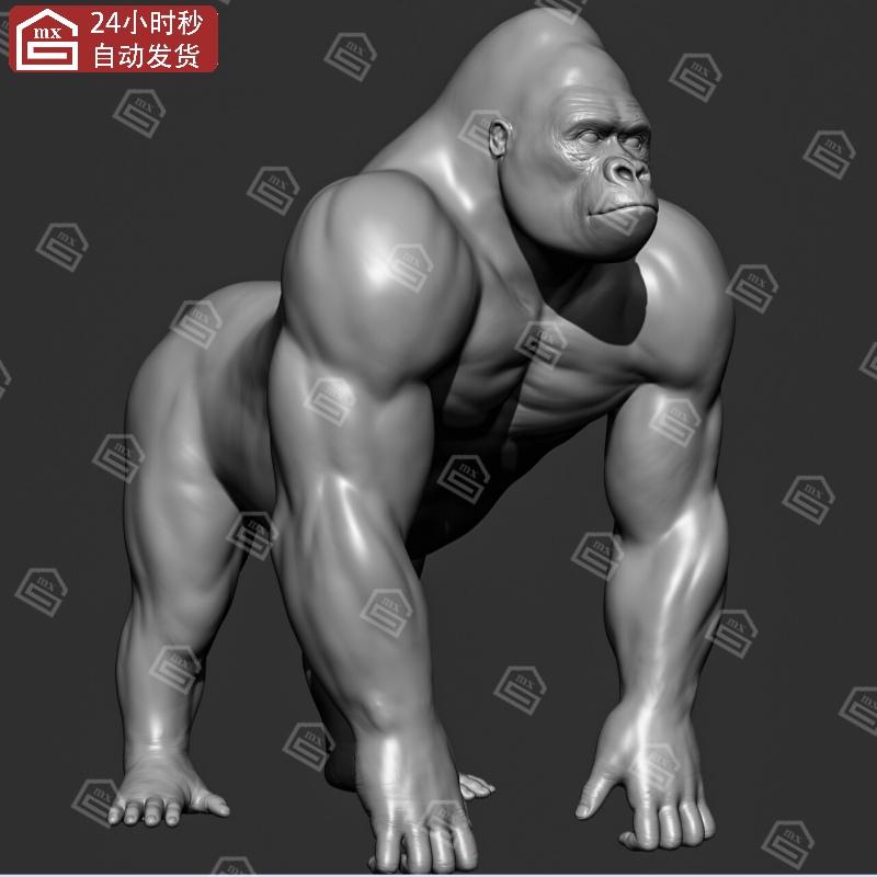 zbrush野生动物大猩猩黑猩猩3d模型stl素材可打印高精度高模模型