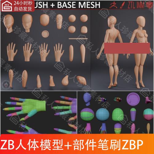 zbrush卡通手办身体手部笔刷zb二次元男女性角色基础人体3d模型