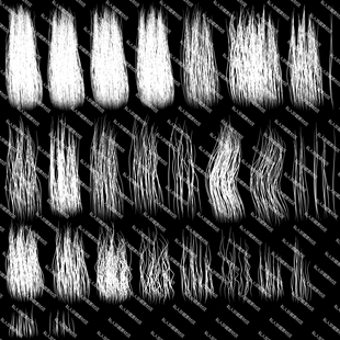 高清4k毛发贴图头发PBR材质图PNG 次时代头发 通道318