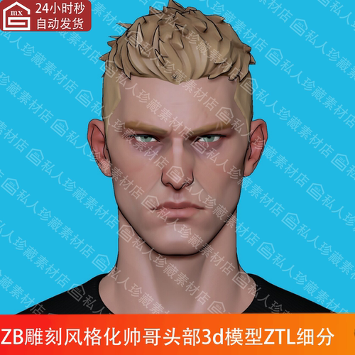zbrush风格化欧美短发男性人物头部头像顶点绘制头3d模型ztl细分