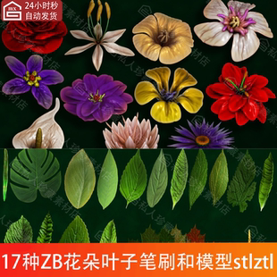zbrush花朵鲜花玫瑰菊花百合ZB笔刷植物叶子枫叶花蕾绿叶3d模型
