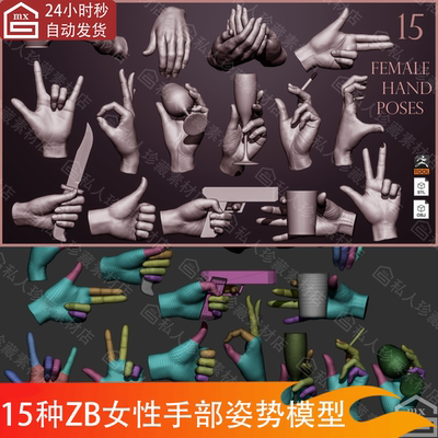 zbrush女性手部手掌姿势高模模型ztl手握手势STL可打印雕刻3D模型