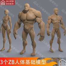 zbrush风格化角色建模雕刻人物基础3d模型zb卡通人体解剖男女模型