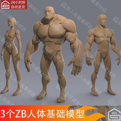 zbrush风格化角色建模雕刻人物基础3d模型zb卡通人体解剖男女模型