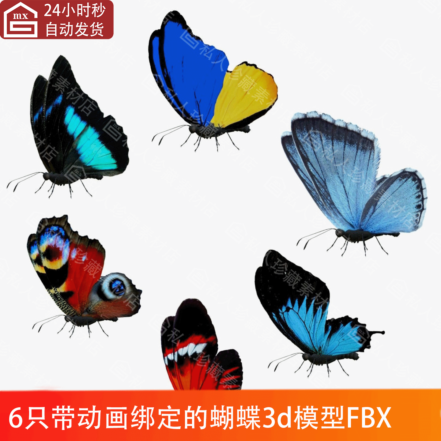 FBX格式写实蝴蝶昆虫动物动画绑定飞行3D模型带2k贴图3d模型