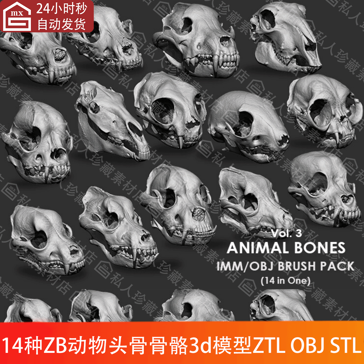 zbrush雕刻动物头颅骨头骨骼高模3d模型stl obj和骨头IMM笔刷ZBP