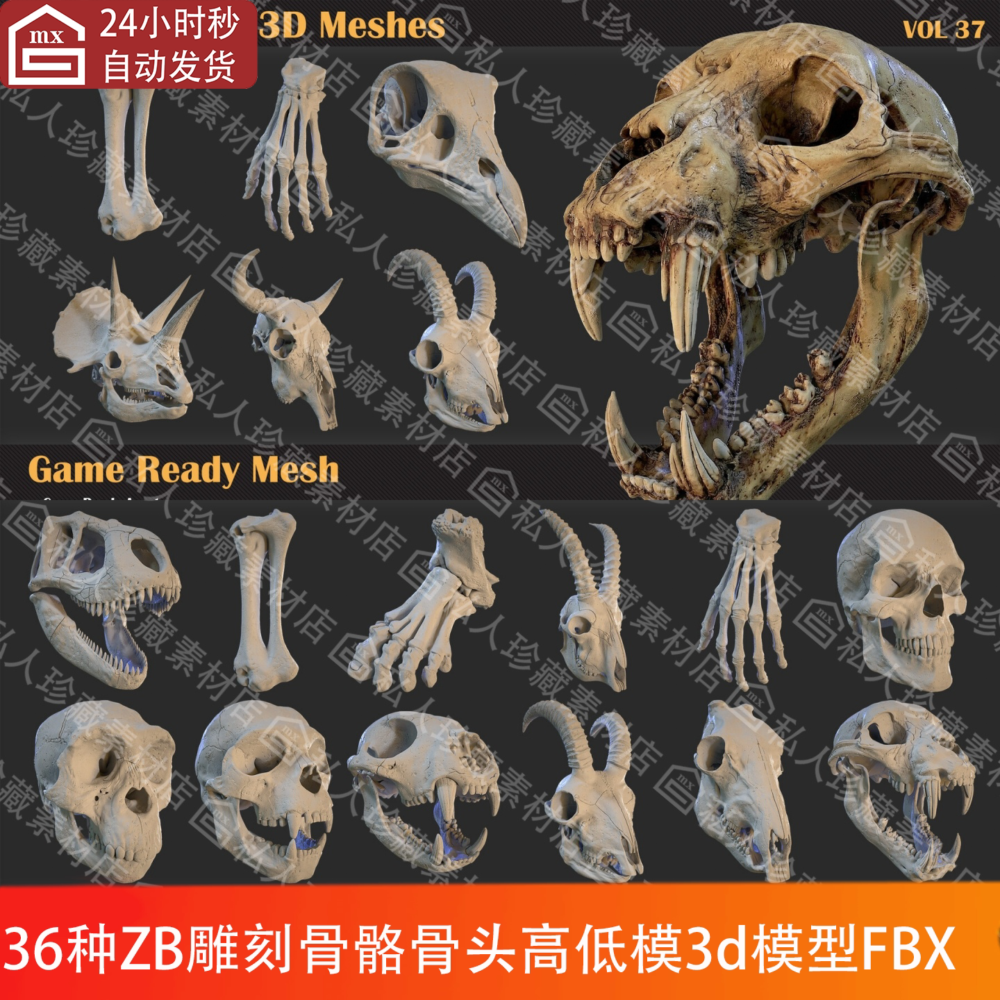 FBX格式动物人类鸟类猩猩恐龙羚羊头颅骨头骨骼头骨低高模3d模型