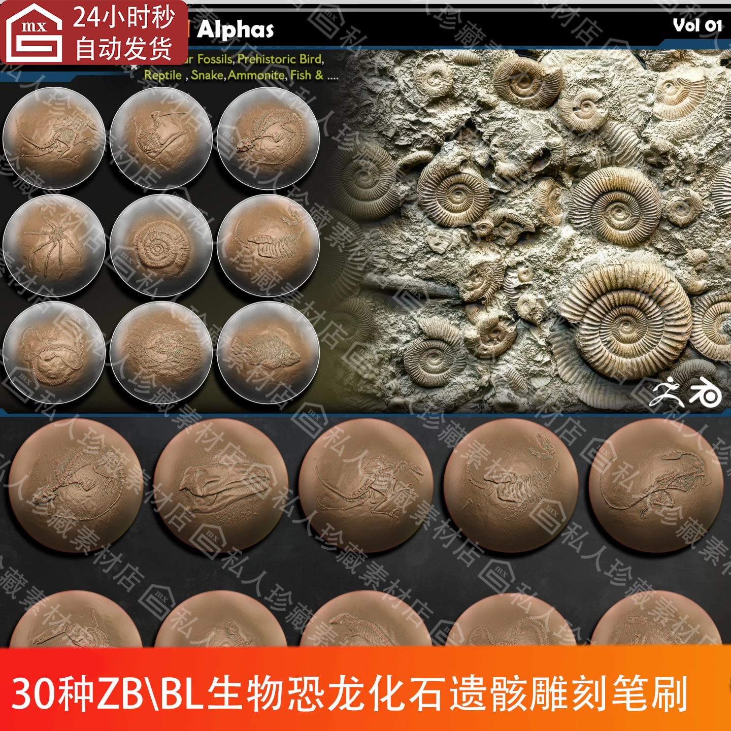 zbrush+blender生物恐龙鱼鸟类化石遗骸骨骸雕刻笔刷ZB笔刷Bl笔刷