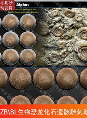 zbrush+blender生物恐龙鱼鸟类化石遗骸骨骸雕刻笔刷ZB笔刷Bl笔刷